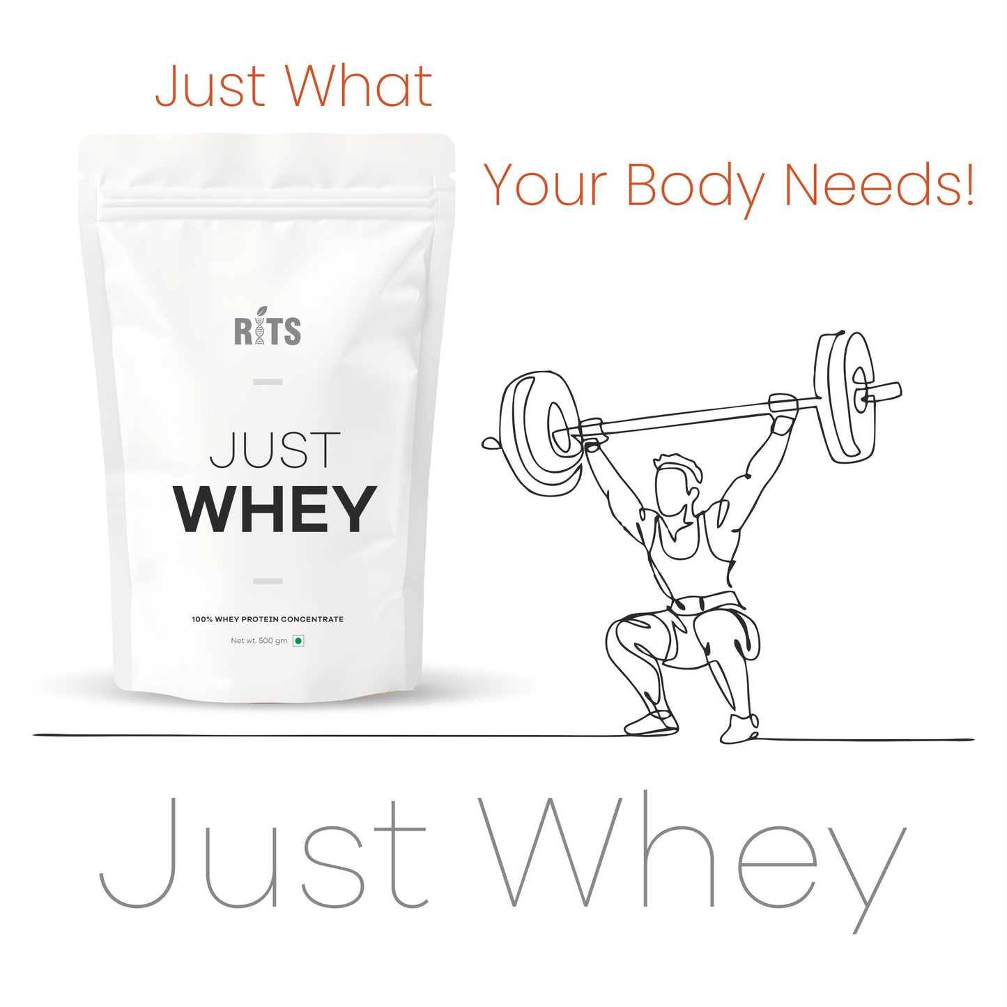 JUST WHEY, 500GM