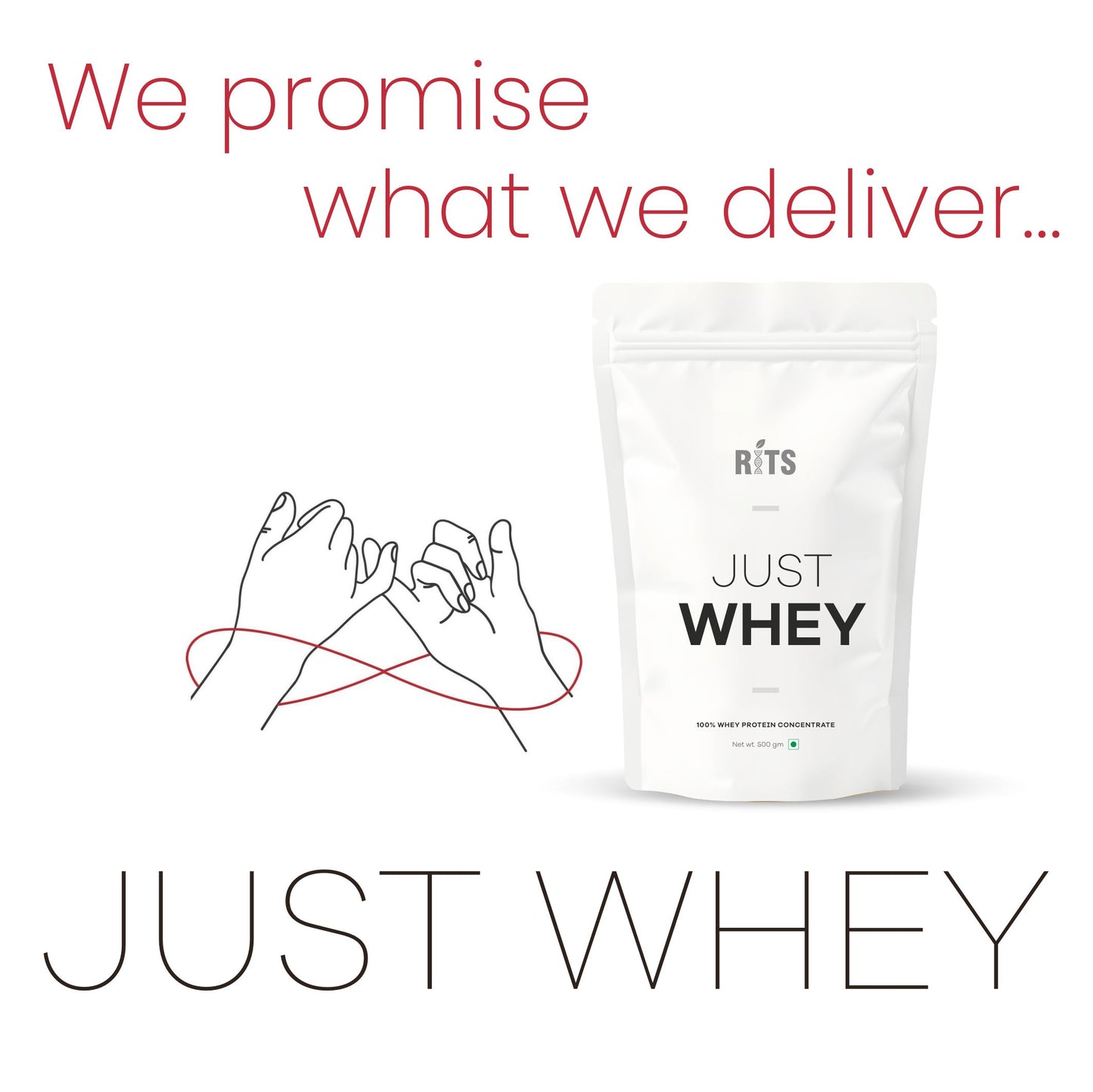 JUST WHEY, 500GM